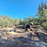 Desde la arqueología, buscan rescatar y poner en valor los asentamientos coloniales del Chaco