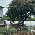 Puerto Vilelas, en alerta por la crecida del Paraná: más de 800 familias podrían ser evacuadas