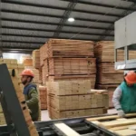 La industria repuntó en agosto, con una suba del 1,9%