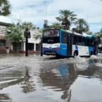 Cambios en los colectivos de Resistencia: ¿Qué líneas modificaron sus recorridos y por dónde circularán?
