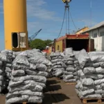 Nueva exportación de carbón vegetal a Estados Unidos