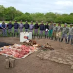 Presidencia de la Plaza: secuestraron 150 kilos de carne y 56 vacunos