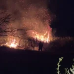 Un incendio afectó dos hectáreas y la Policía identificó al presunto responsable