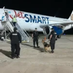 Amenaza de bomba en un avión: bomberos inspeccionaron todo, pero descartaron explosivos