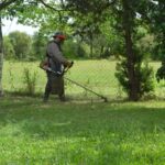 Colonia Popular intensifica las tareas de limpieza y mantenimiento de espacios públicos