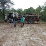 Tres Isletas: secuestraron un camión con 5.000 kilos de quebracho colorado en un campo reservado a pueblos originarios