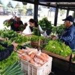 Se realizó con éxito una jornada del Programa Cadenas Cortas