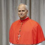 El Papa León XIV recibió el alta y regresó al Vaticano tras su cirugía de pulmón
