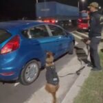 Basail: el perro Lulú detectó más de 3 kilos de cocaína durante un control