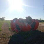 Tragedia en Villa Ángela: joven de 21 años murió luego de chocar contra un perro y volcar con su auto en la Ruta 95