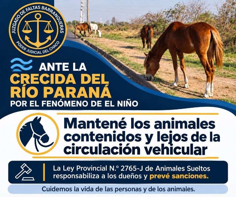 descarga-4